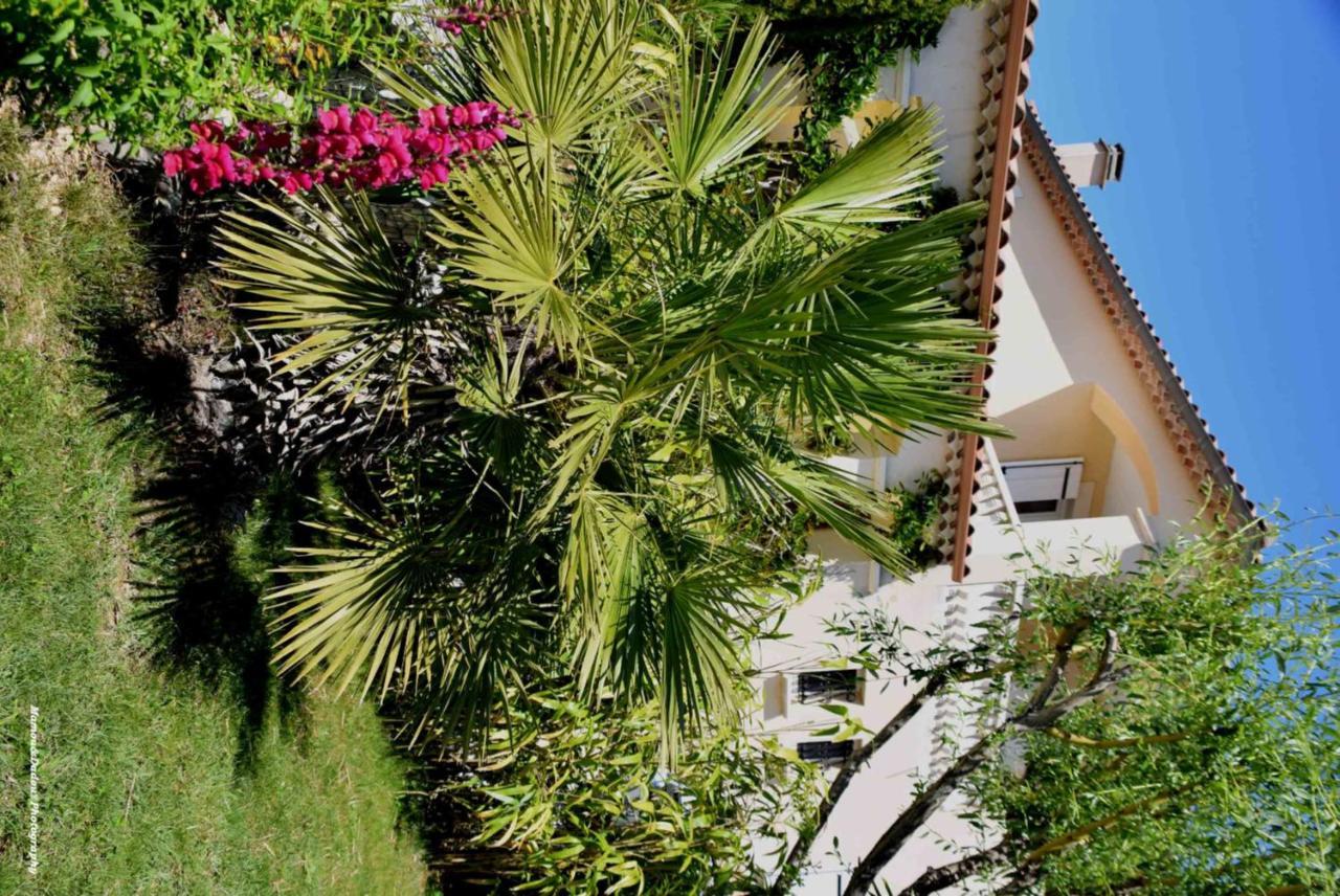 Chez Mamou & Dadou Apartment Monteux Exterior photo