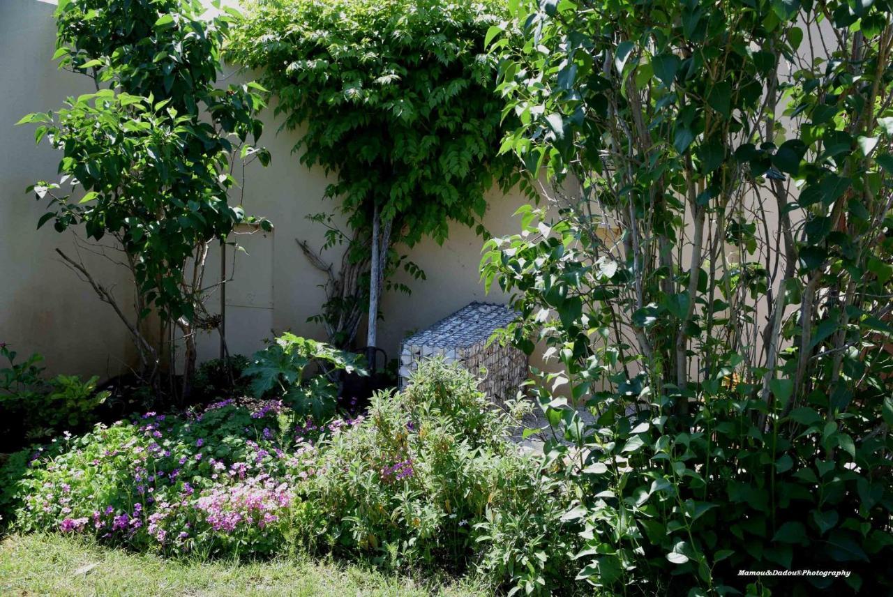 Chez Mamou & Dadou Apartment Monteux Exterior photo